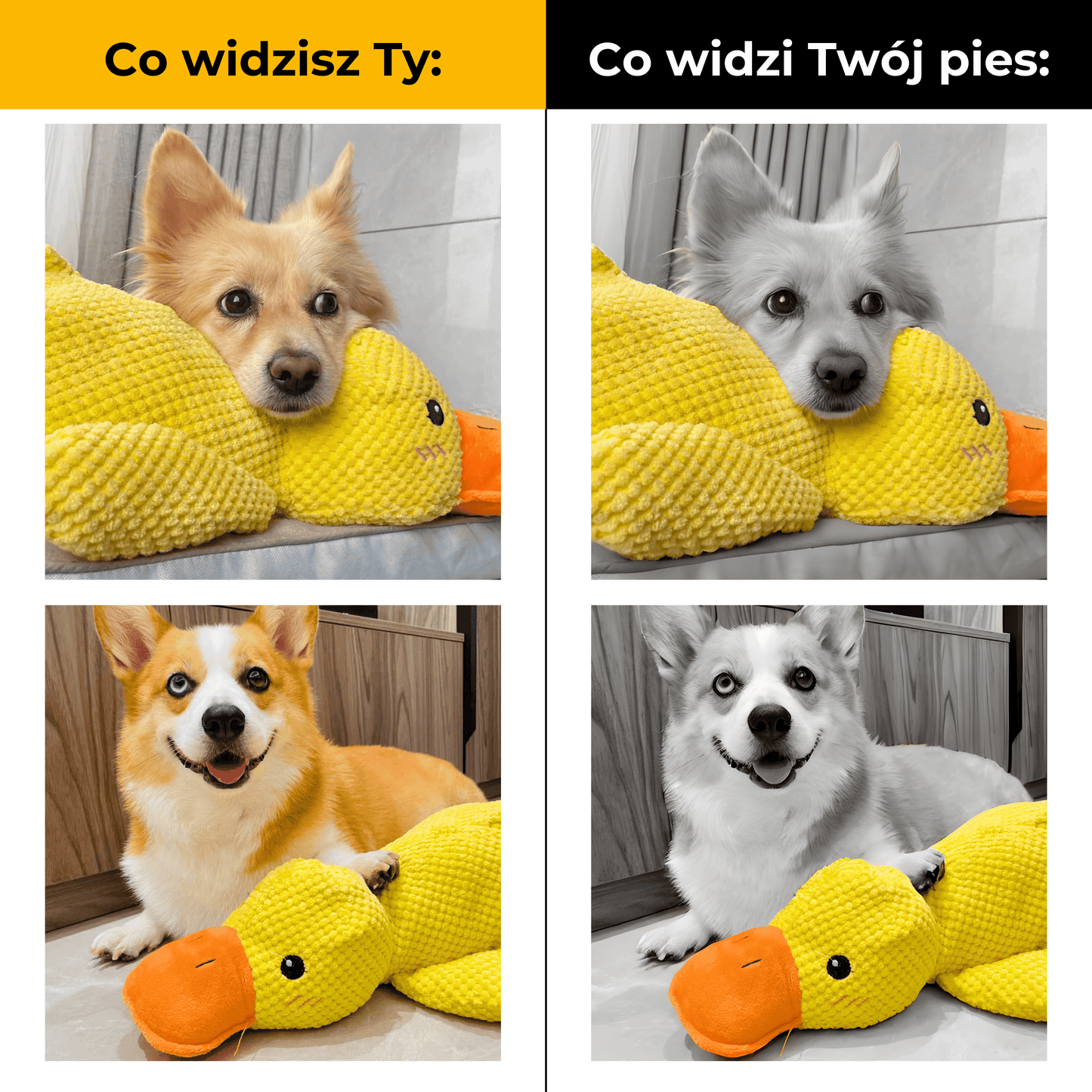 KaczkaPsiaczka - uspokajająca pluszowa zabawka dla psów