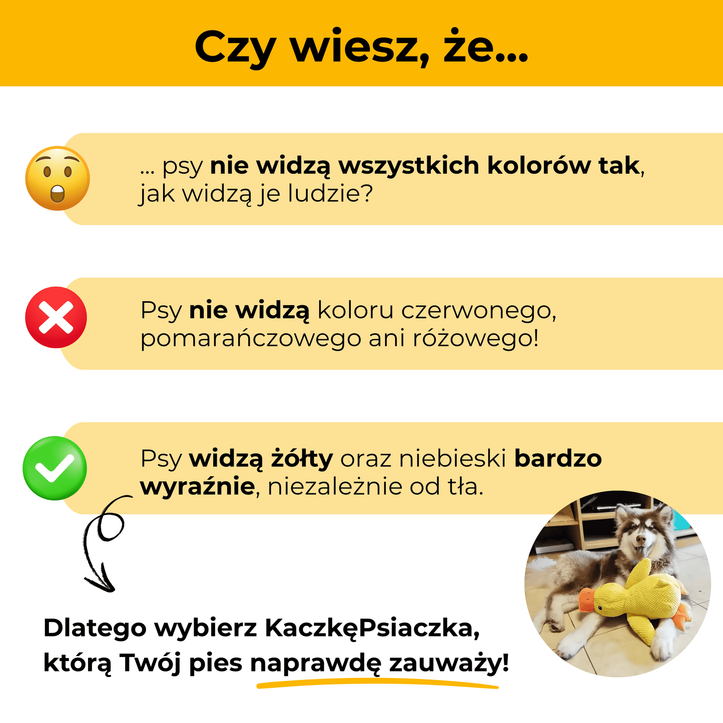 KaczkaPsiaczka - uspokajająca pluszowa zabawka dla psów