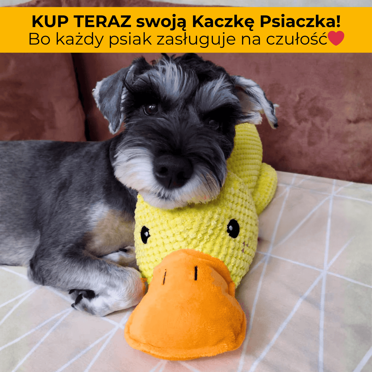 KaczkaPsiaczka - uspokajająca pluszowa zabawka dla psów