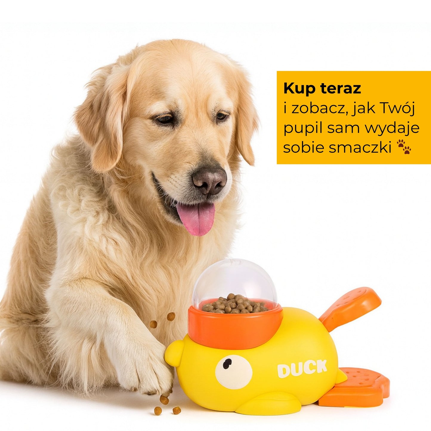 Kaczuszka - interaktywna zabawka podająca karmę