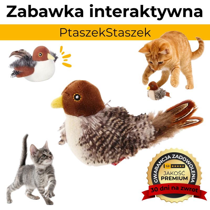 Zabawka Interaktywna PtaszekStaszek