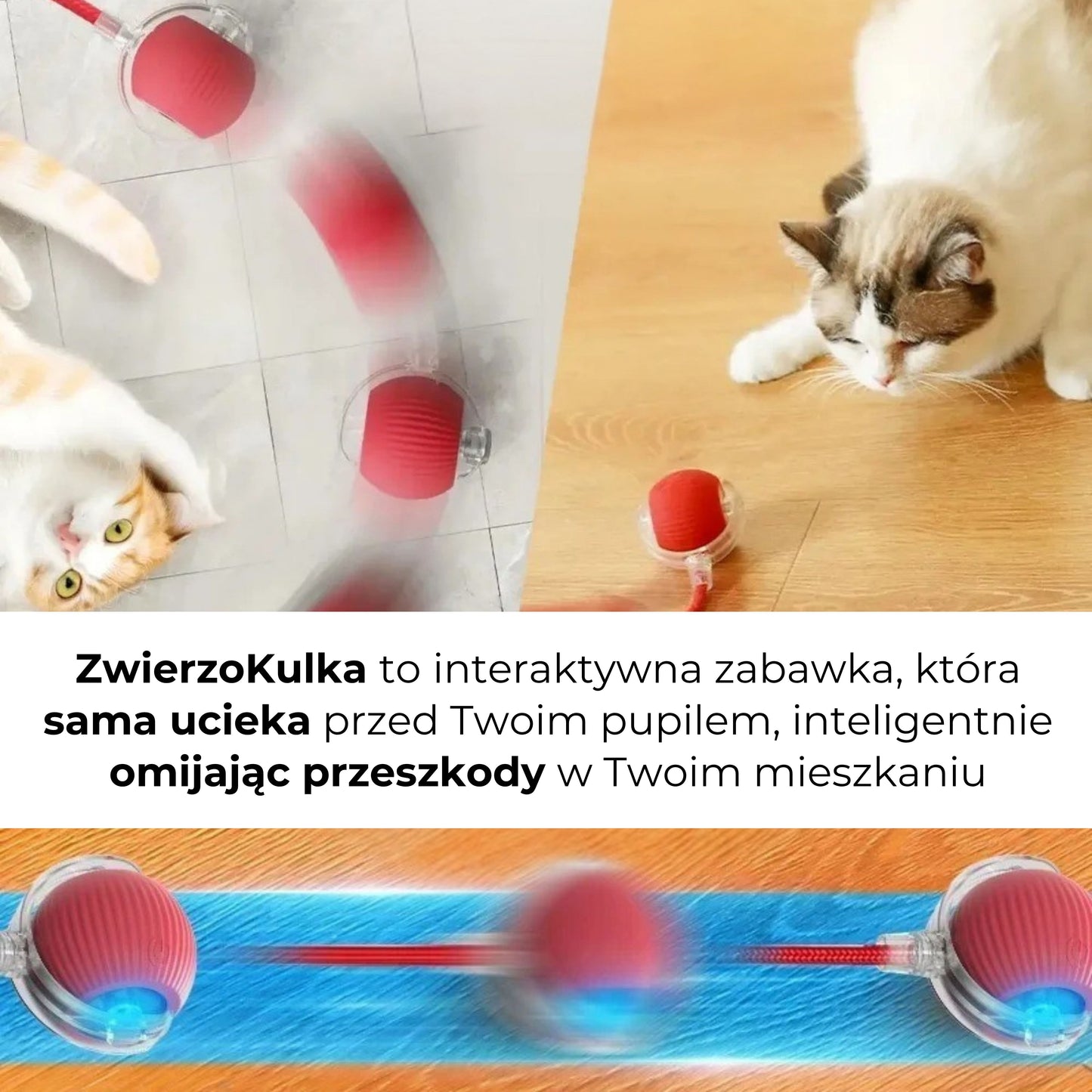 ZwierzoKulka - inteligentna zabawka dla Twojego pupila