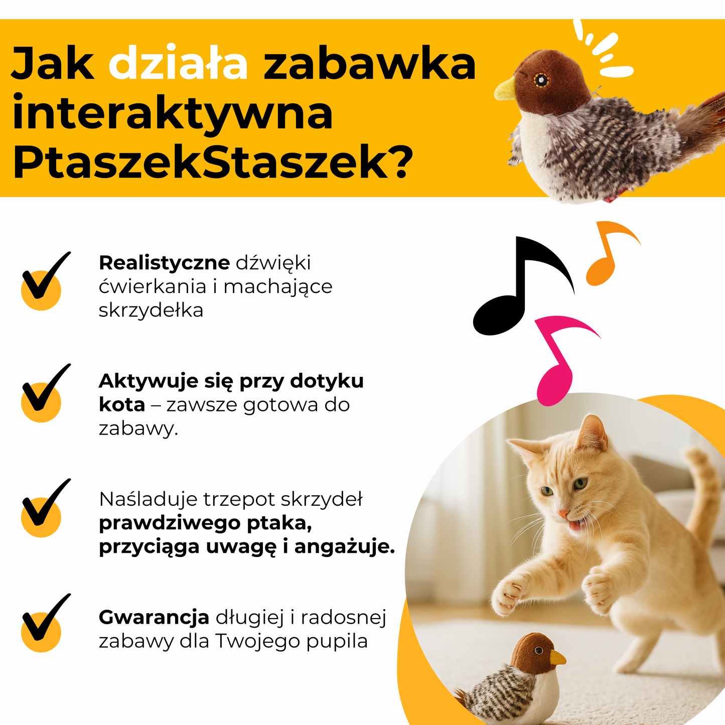 Zabawka Interaktywna PtaszekStaszek