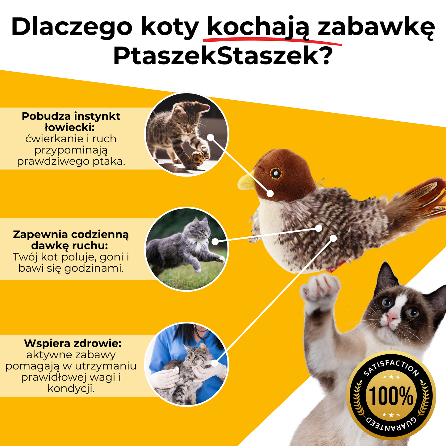 Zabawka Interaktywna PtaszekStaszek