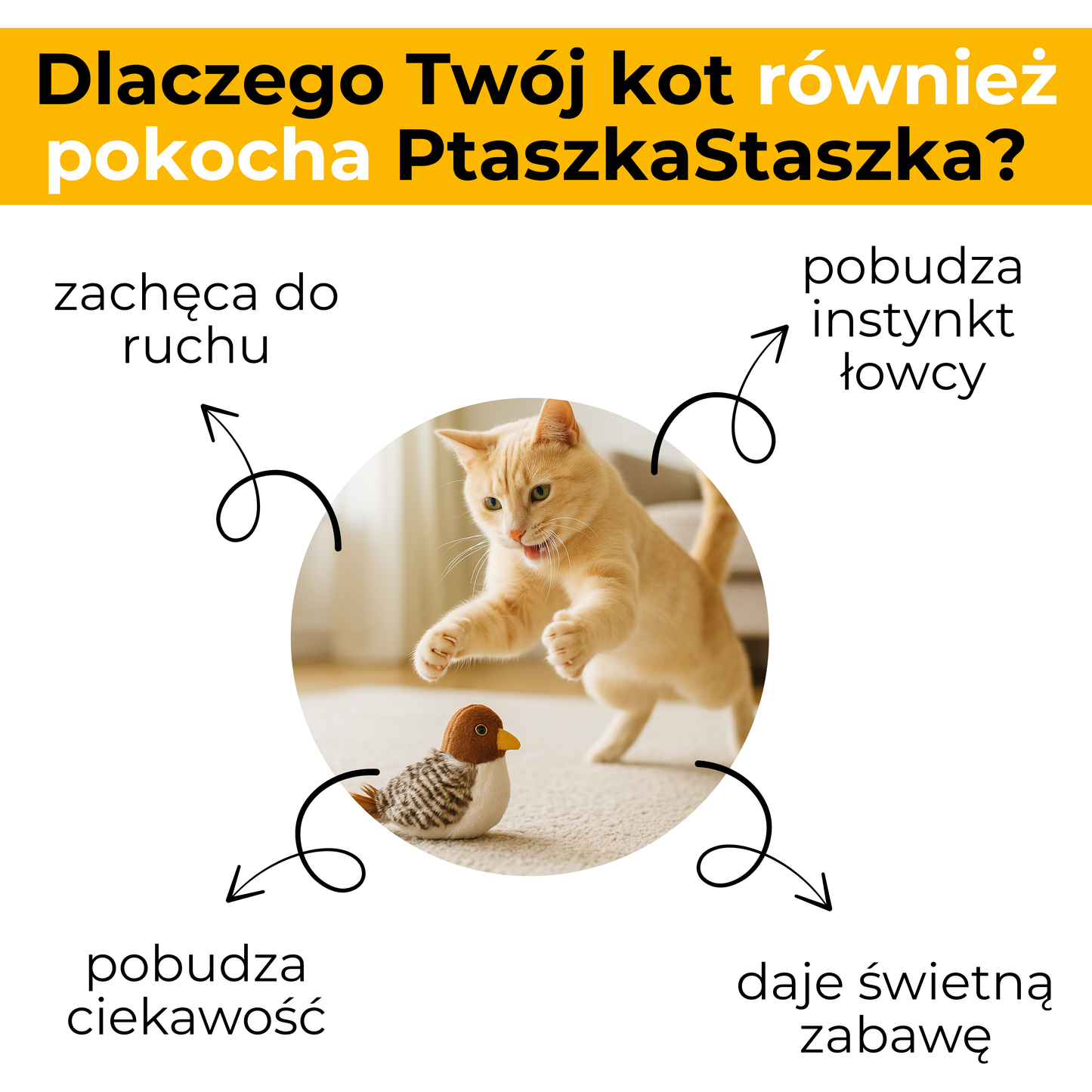 Zabawka Interaktywna PtaszekStaszek