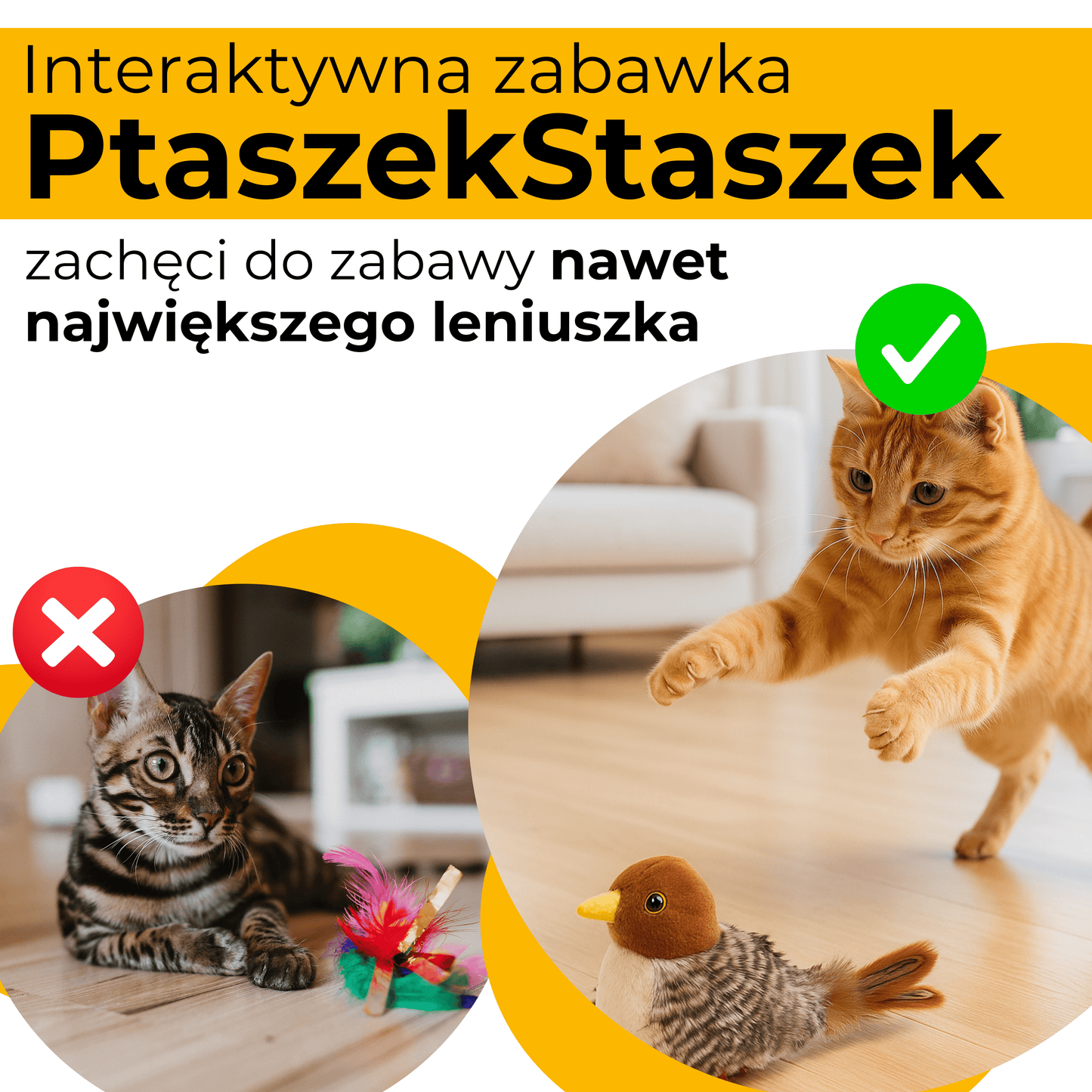 Zabawka Interaktywna PtaszekStaszek