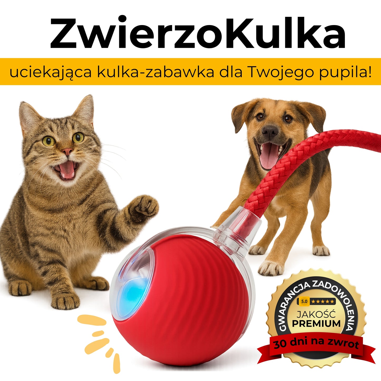 ZwierzoKulka - inteligentna zabawka dla Twojego pupila