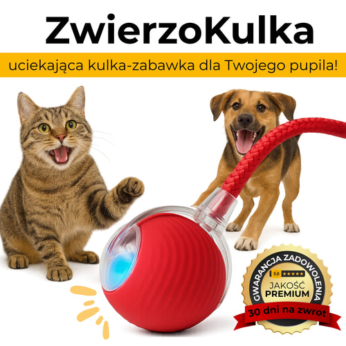 ZwierzoKulka - inteligentna zabawka dla Twojego pupila