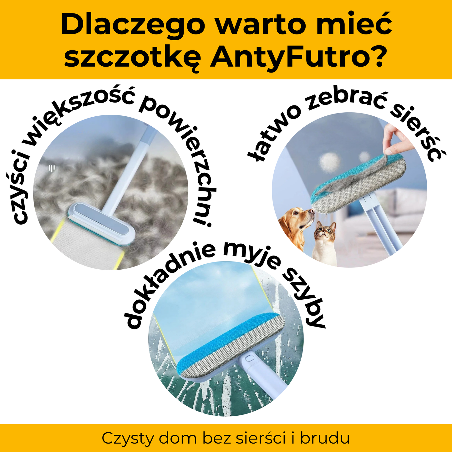 AntyFutro – Twój sposób na czysty dom