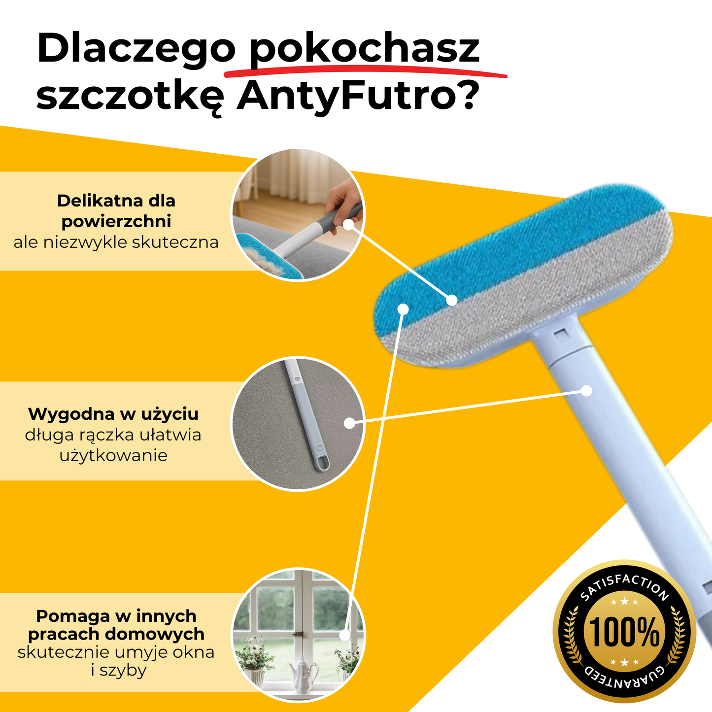 AntyFutro – Twój sposób na czysty dom
