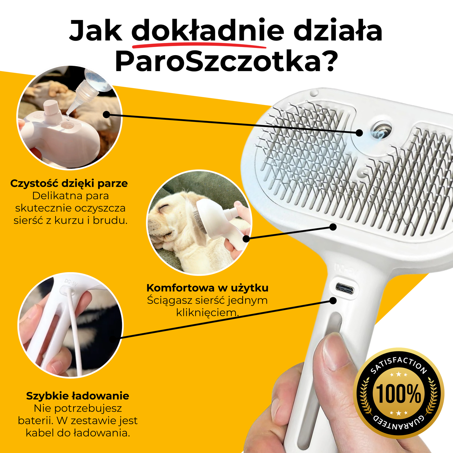 ParoSzczotka - skuteczna i bezpieczna pielęgnacja futerka