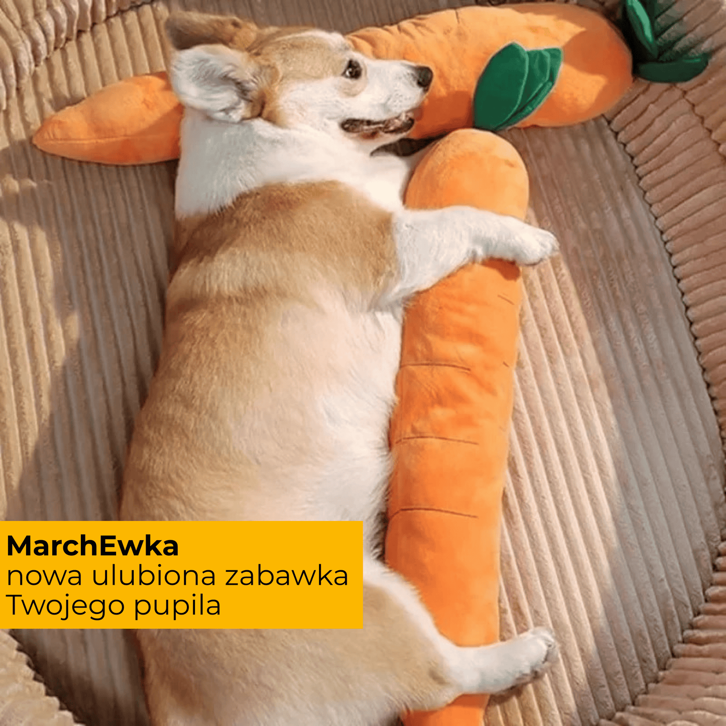 MarchEwka - uspokajająca pluszowa zabawka
