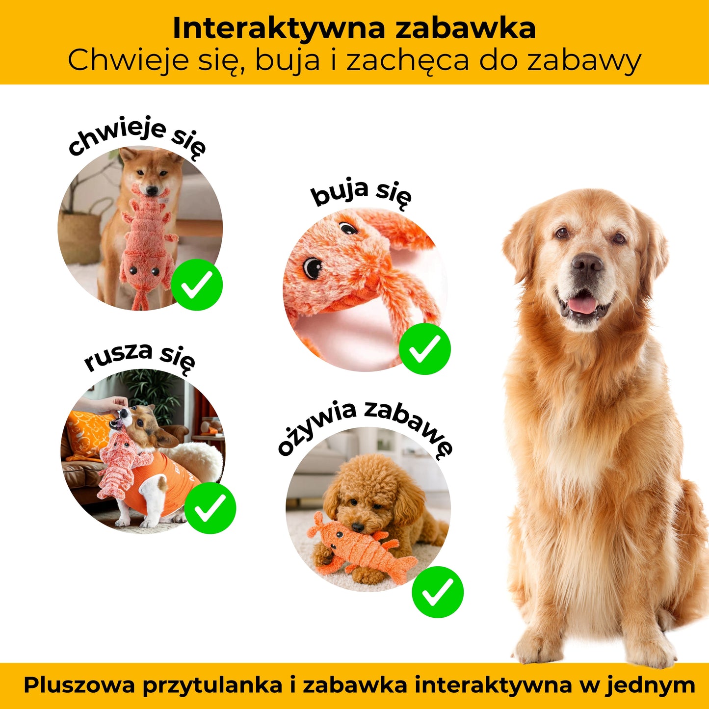 Szczypuś - maskotka interaktywna dla psów