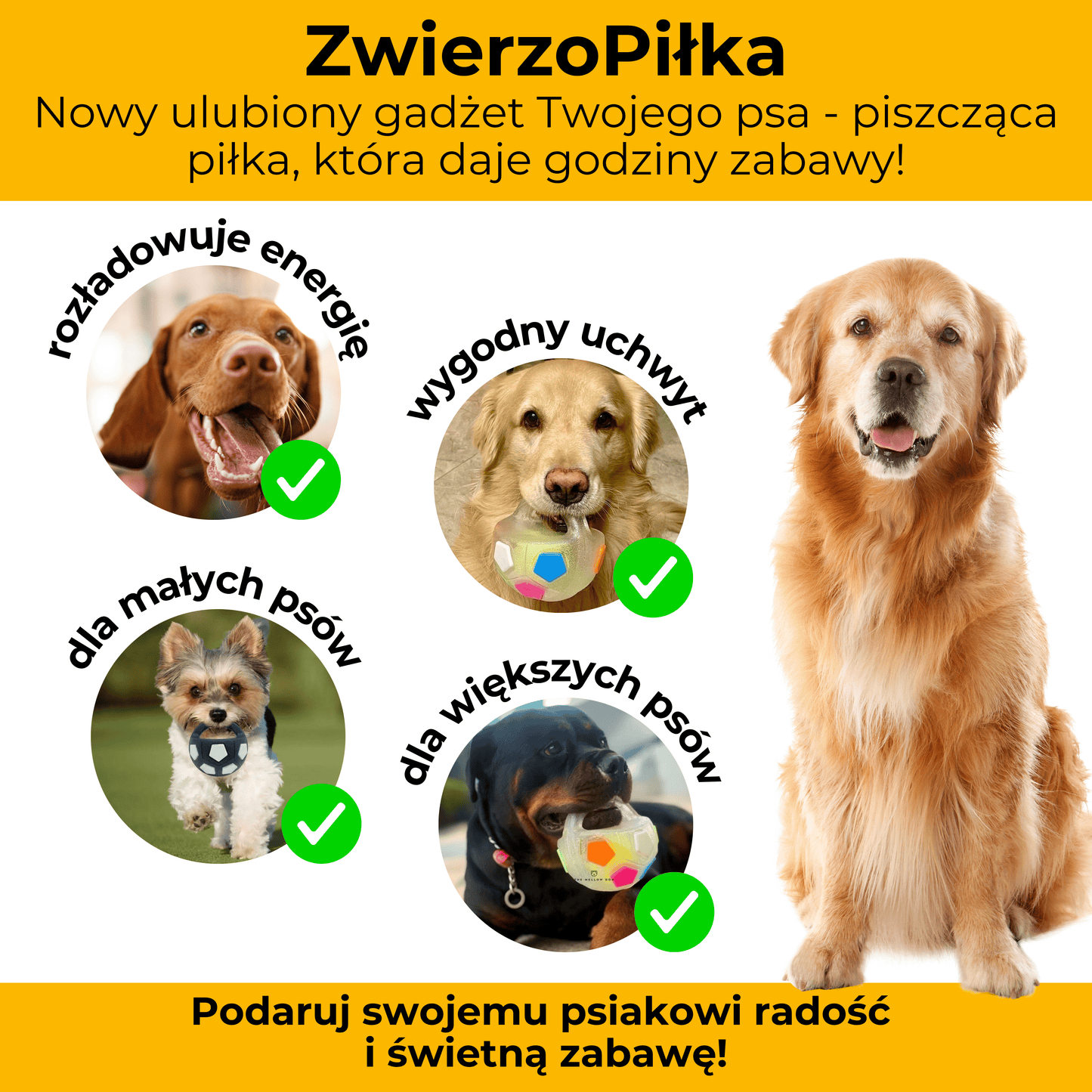 ZwierzoPiłka - wytrzymała piszcząca piłka z uchwytem dla psa