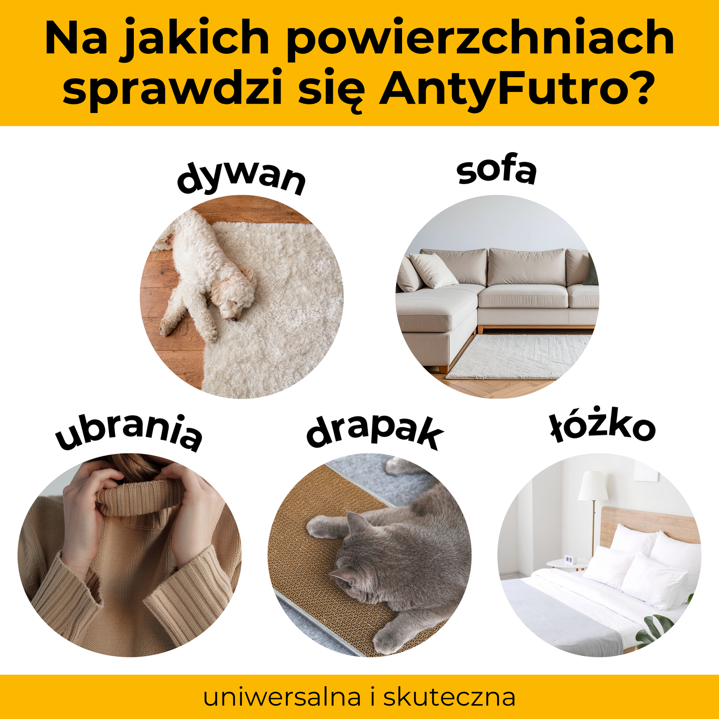 AntyFutro – Twój sposób na czysty dom