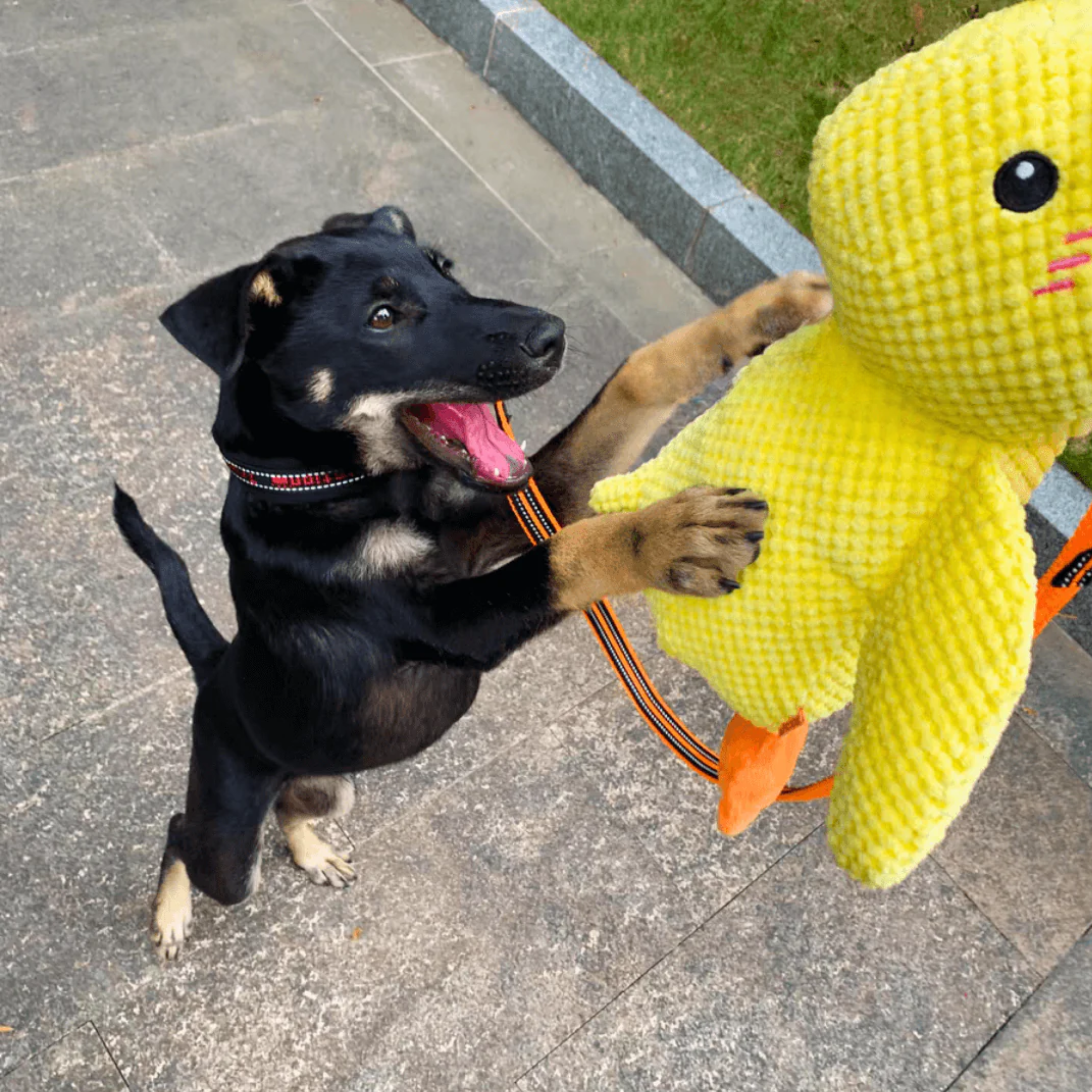 <em>Arkadiusz S.</em>