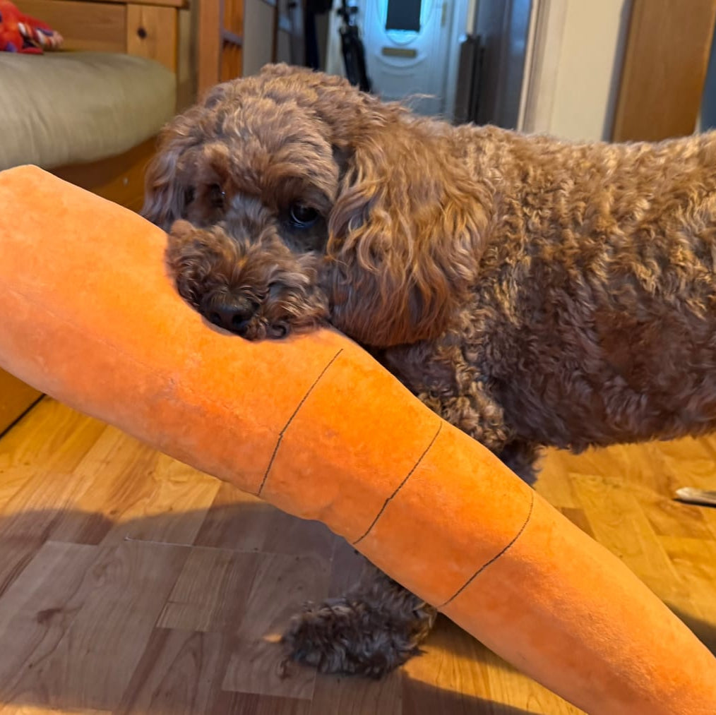 <em>Izabella R.</em>