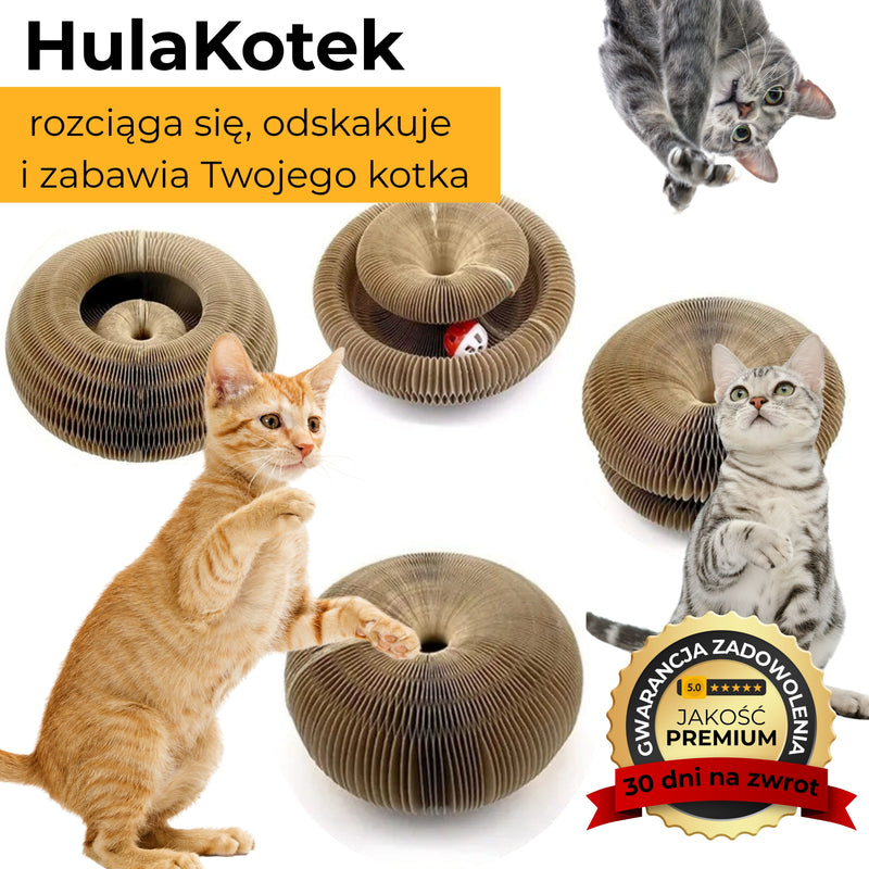 HulaKotek - wielofunkcyjny drapak dla kotów