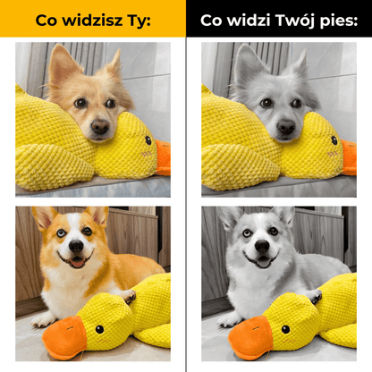 KaczkaPsiaczka - uspokajająca pluszowa zabawka dla psów