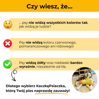 KaczkaPsiaczka - uspokajająca pluszowa zabawka dla psów