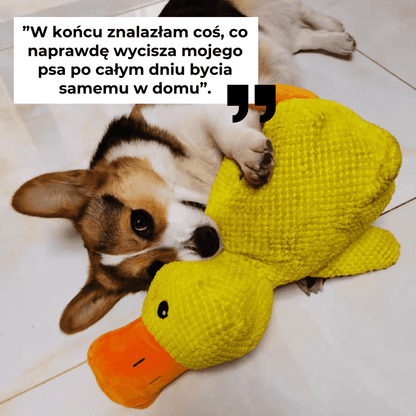 KaczkaPsiaczka - uspokajająca pluszowa zabawka dla psów