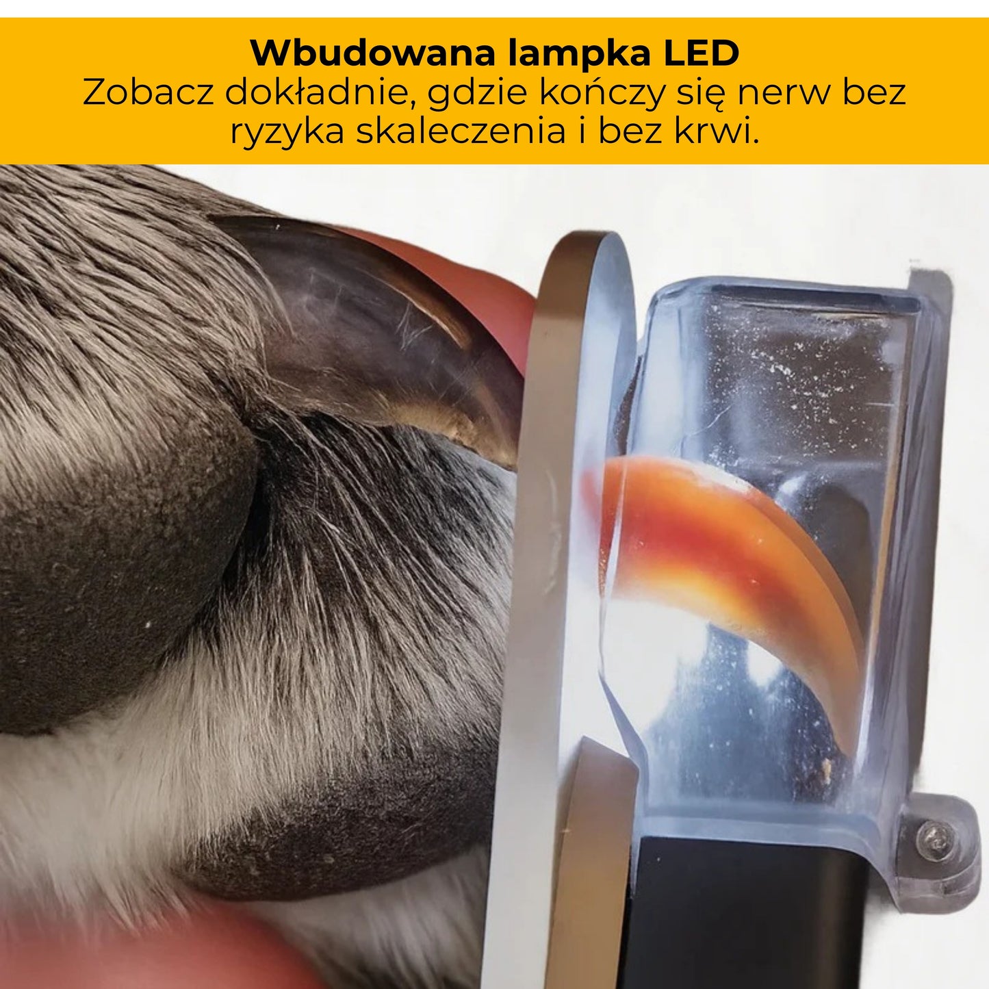 ZdrowyPazurek - bezpieczny obcinacz z lampką LED