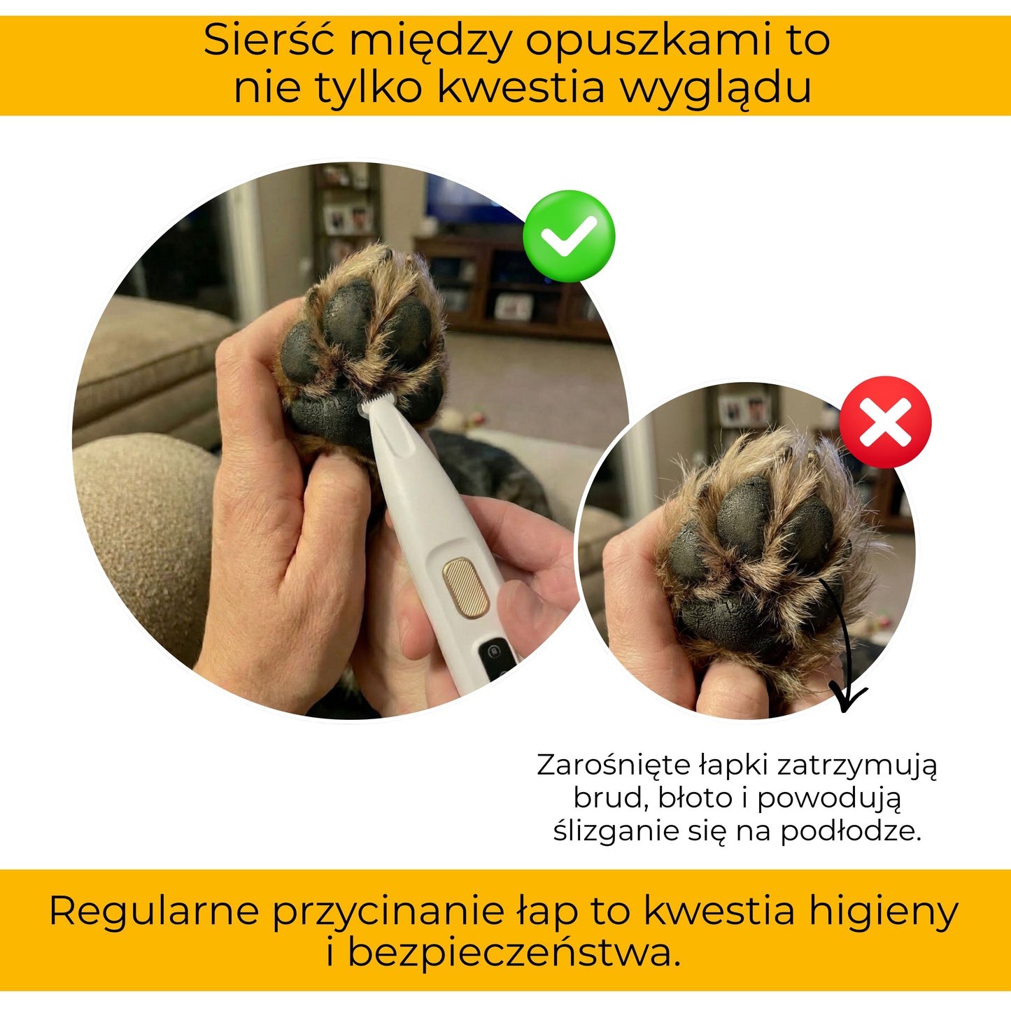 PupilTrim Mini - precyzyjny trymer dla zwierząt
