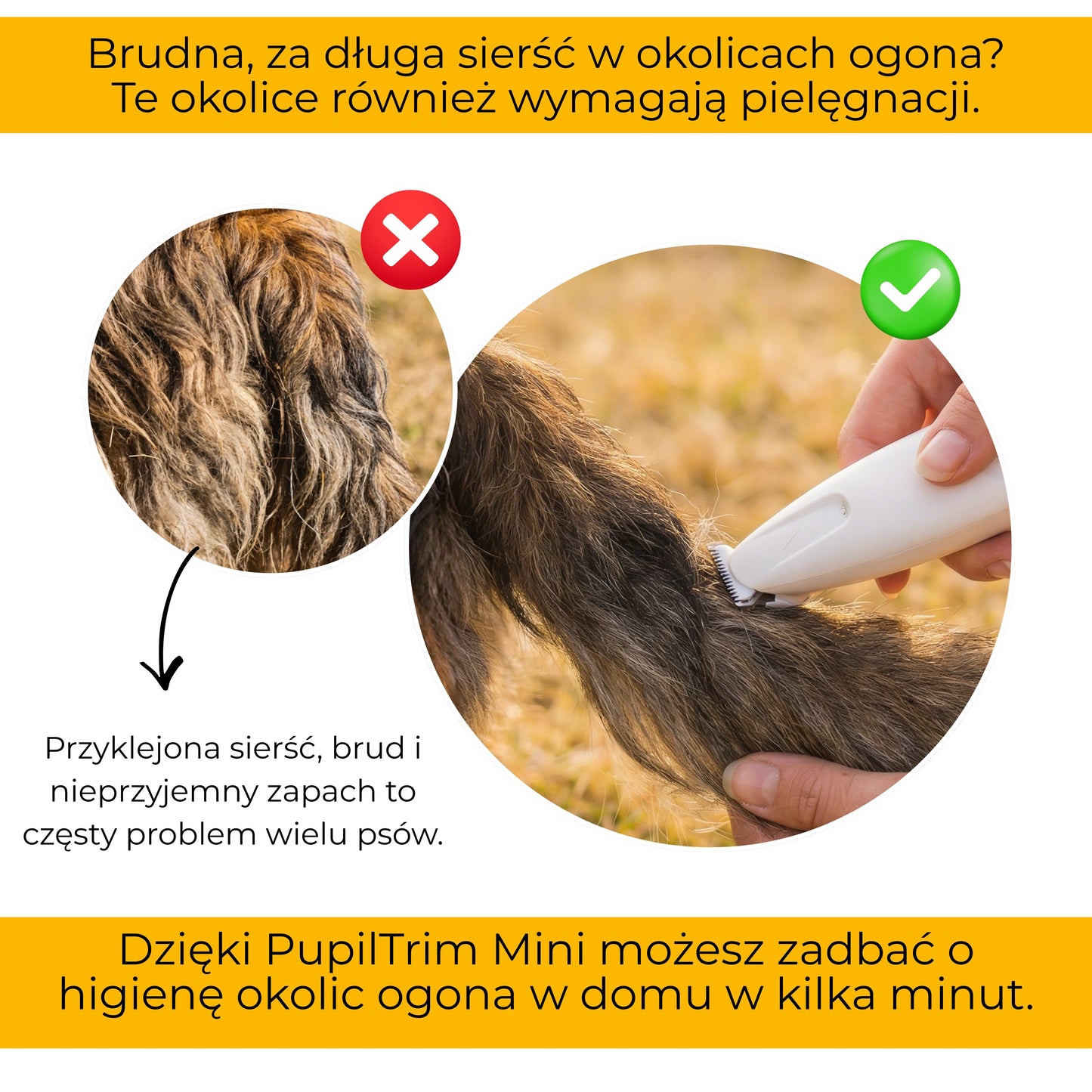 PupilTrim Mini - precyzyjny trymer dla zwierząt