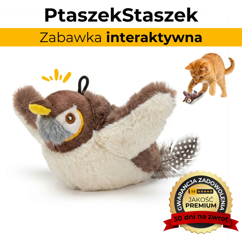 PtaszekStaszek - zabawka interaktywna