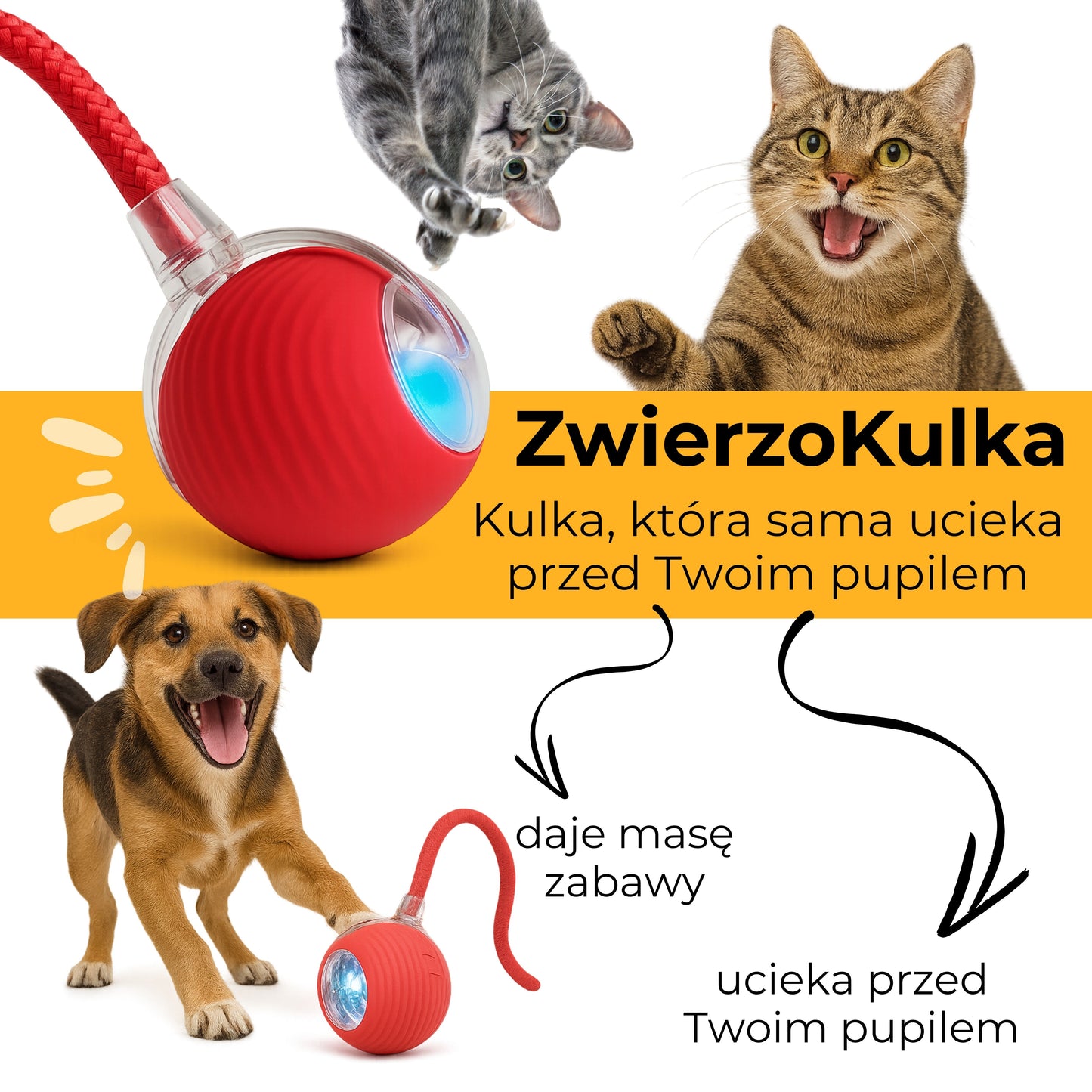 ZwierzoKulka - inteligentna zabawka dla Twojego pupila