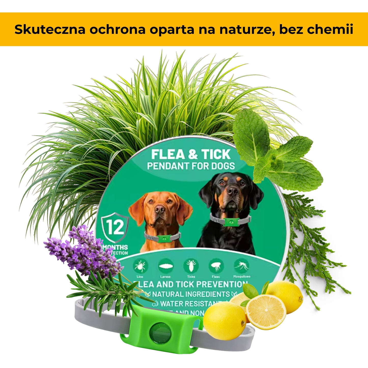 PupilGuard™ - obroża na pchły i kleszcze dla psów