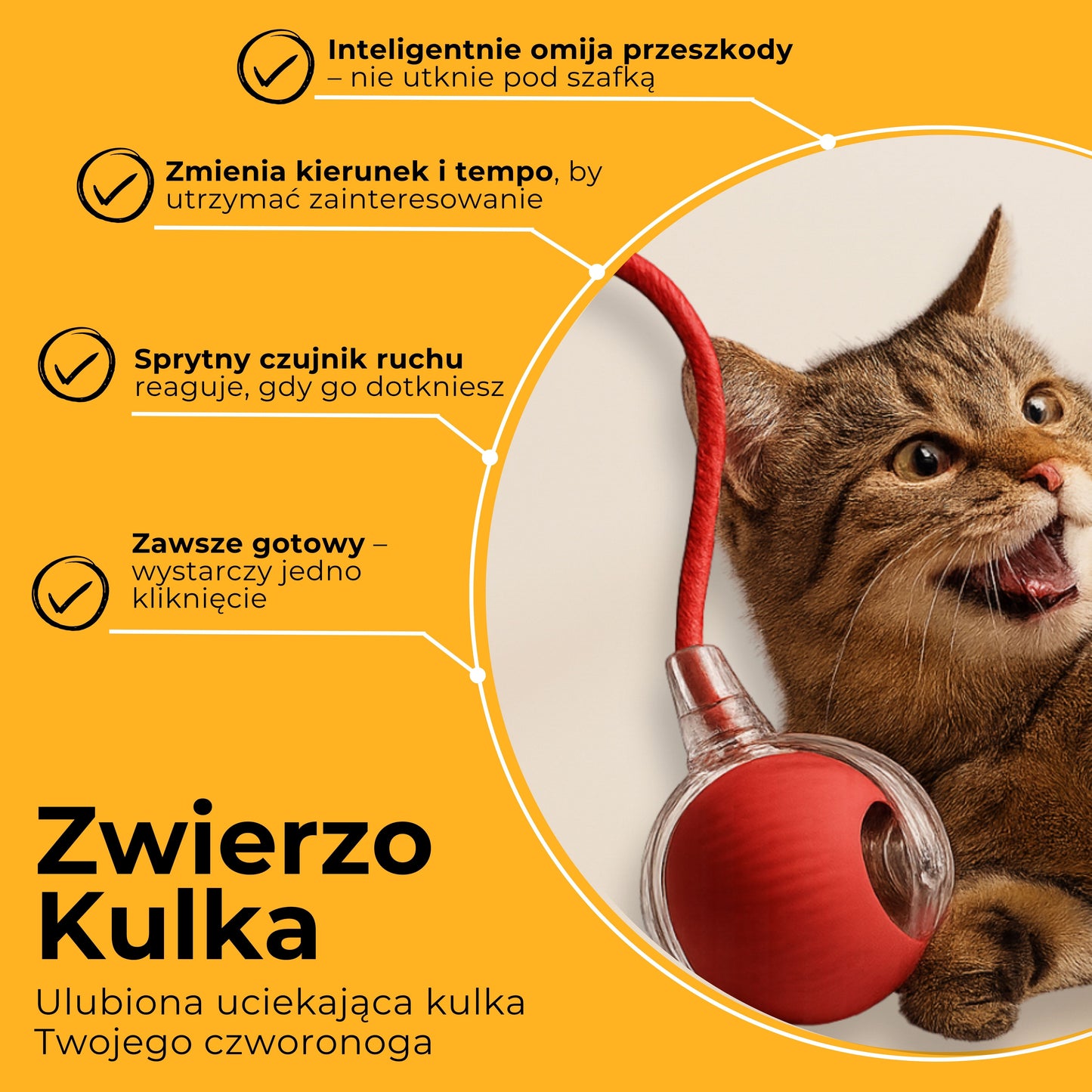 ZwierzoKulka - inteligentna zabawka dla Twojego pupila