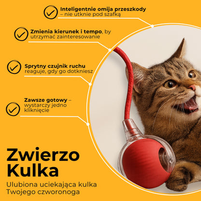 ZwierzoKulka - inteligentna zabawka dla Twojego pupila