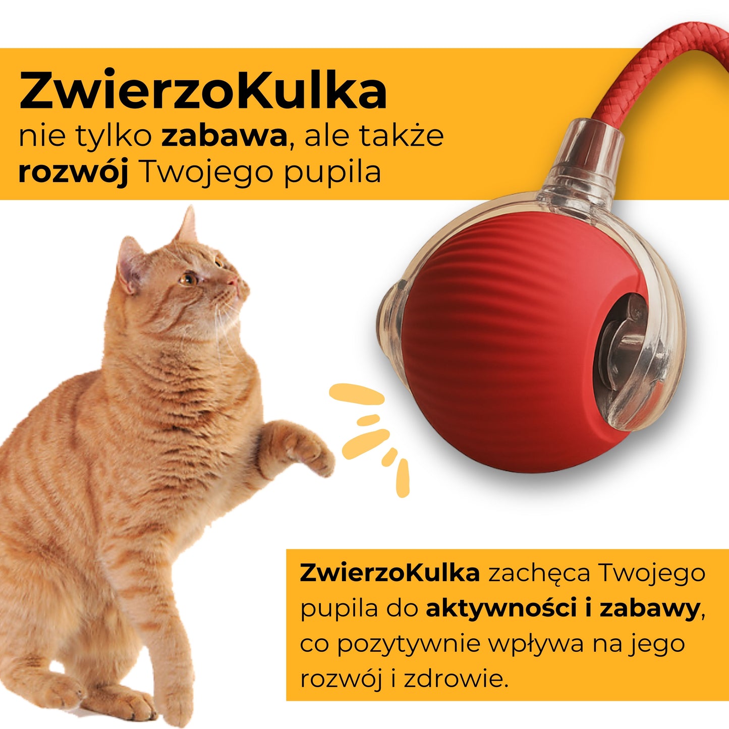 ZwierzoKulka - inteligentna zabawka dla Twojego pupila