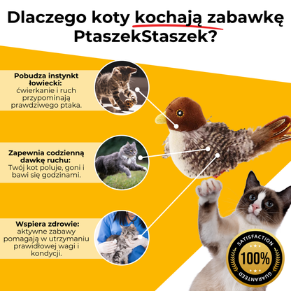 Zabawka Interaktywna PtaszekStaszek