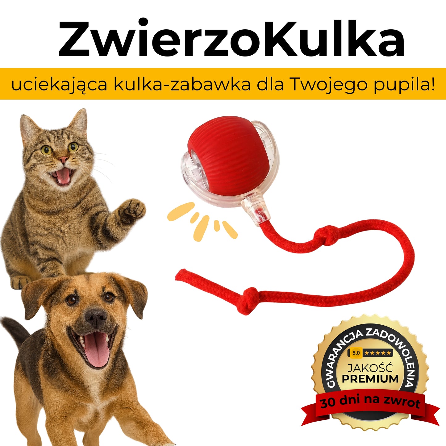 ZwierzoKulka - inteligentna zabawka dla Twojego pupila