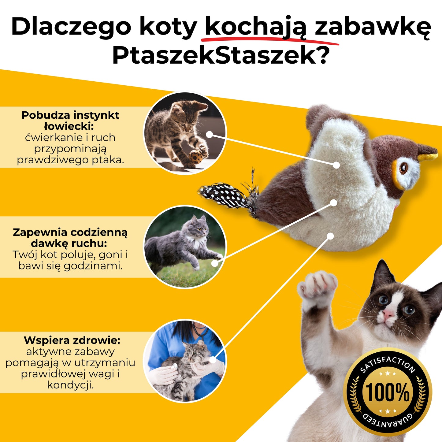 PtaszekStaszek - zabawka interaktywna