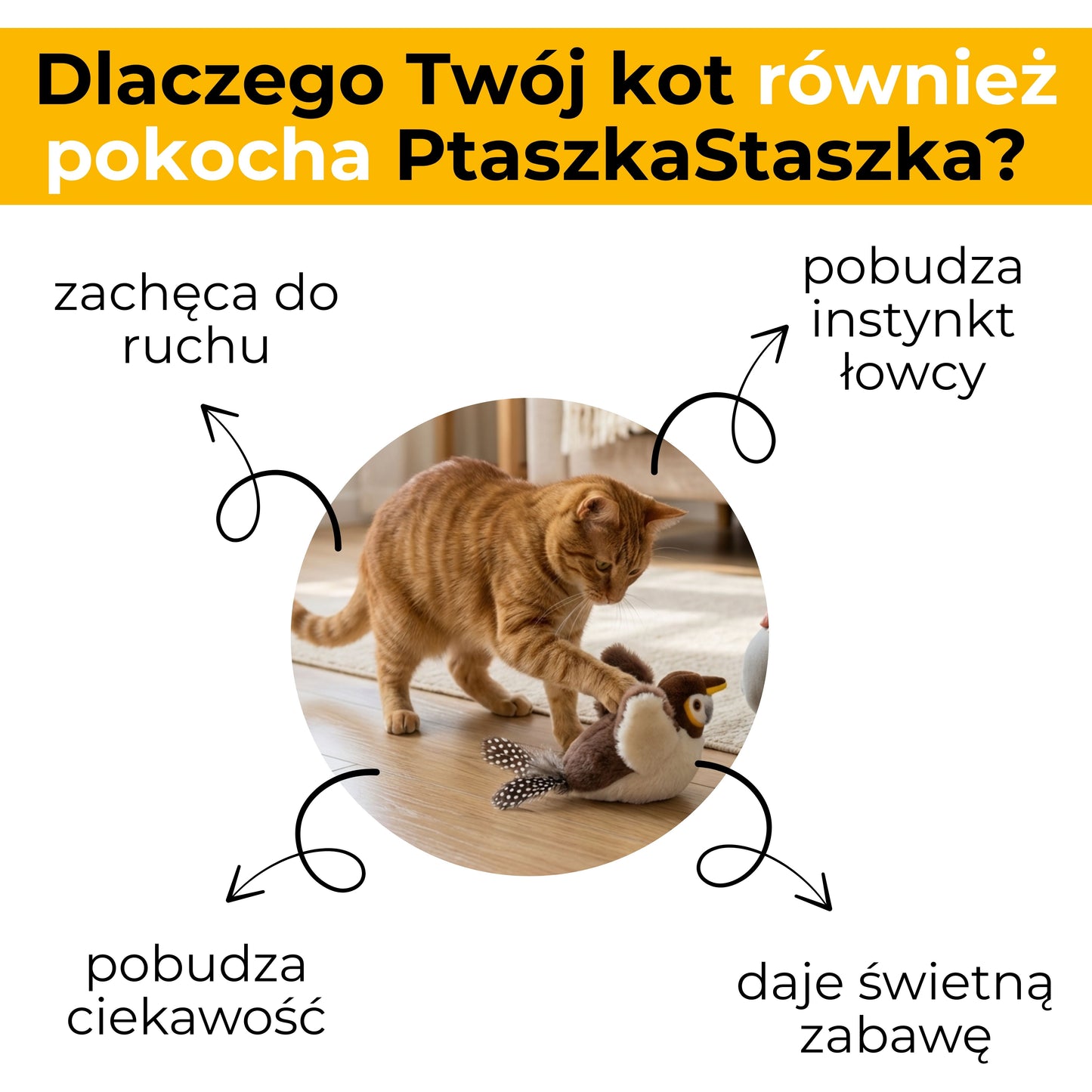 PtaszekStaszek - zabawka interaktywna