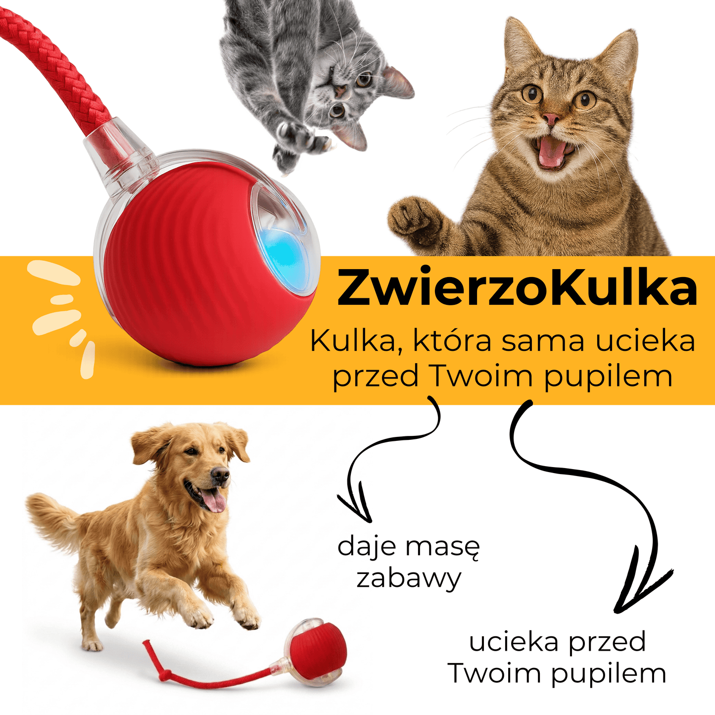ZwierzoKulka - inteligentna zabawka dla Twojego pupila