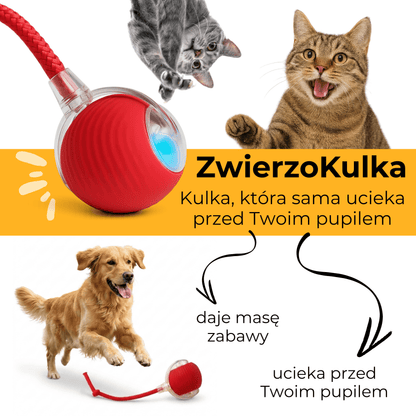ZwierzoKulka - inteligentna zabawka dla Twojego pupila