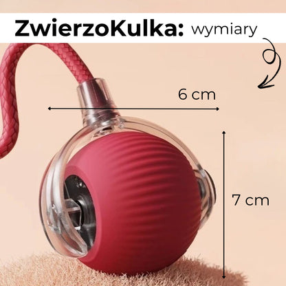 ZwierzoKulka - inteligentna zabawka dla Twojego pupila