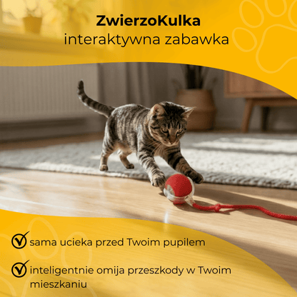 ZwierzoKulka - inteligentna zabawka dla Twojego pupila