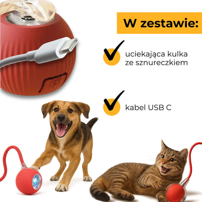 ZwierzoKulka - inteligentna zabawka dla Twojego pupila