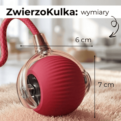 ZwierzoKulka - inteligentna zabawka dla Twojego pupila