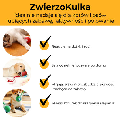 ZwierzoKulka - inteligentna zabawka dla Twojego pupila