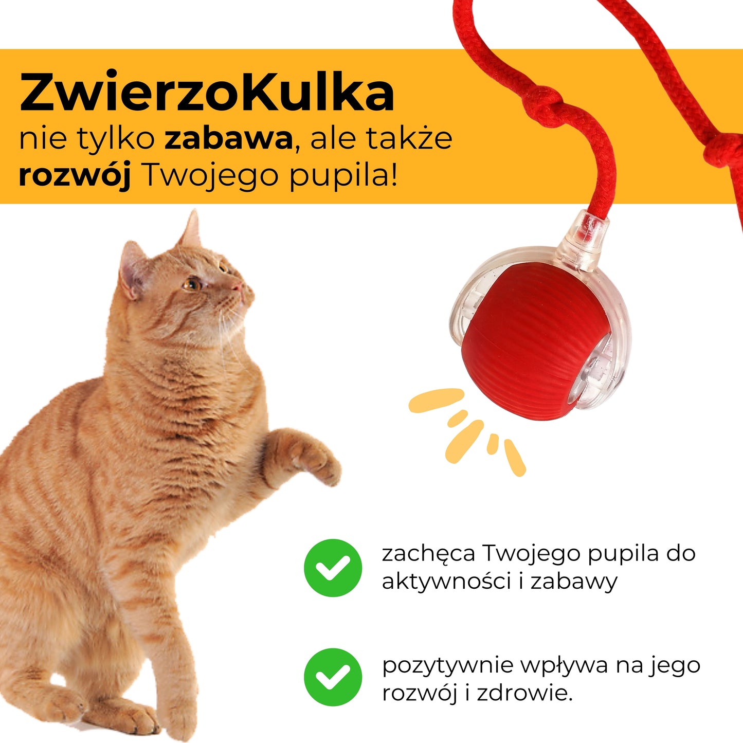 ZwierzoKulka - inteligentna zabawka dla Twojego pupila