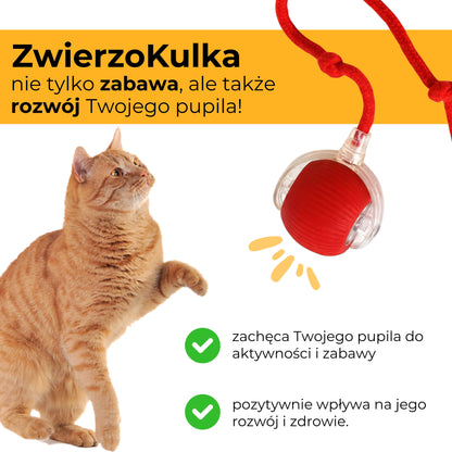 ZwierzoKulka - inteligentna zabawka dla Twojego pupila