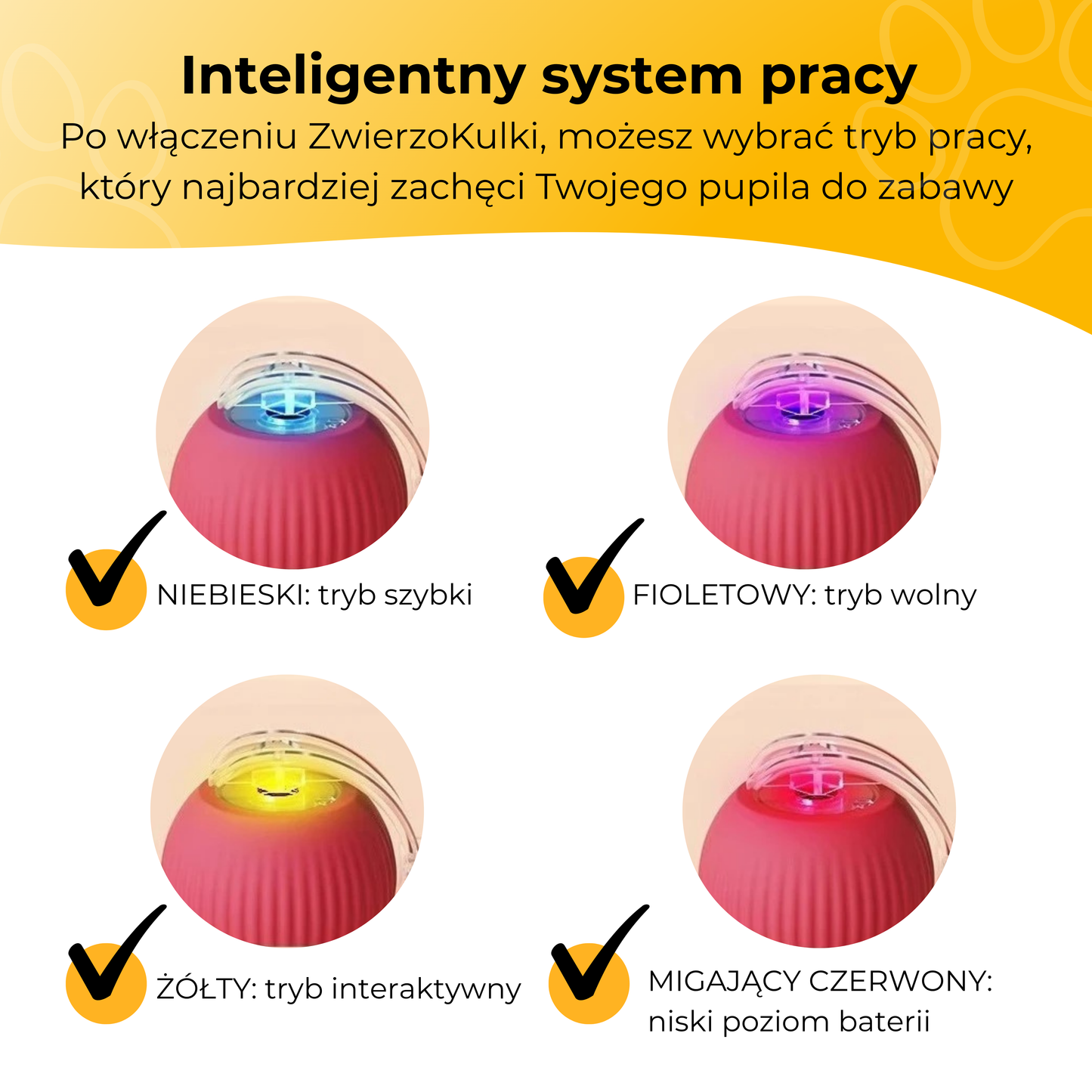 ZwierzoKulka - inteligentna zabawka dla Twojego pupila