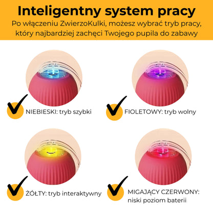 ZwierzoKulka - inteligentna zabawka dla Twojego pupila