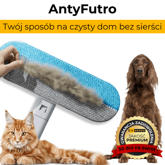 AntyFutro – Twój sposób na czysty dom